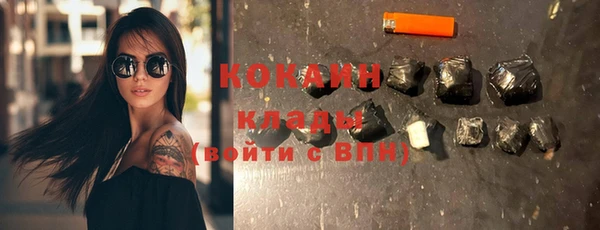 прущий лед Новозыбков