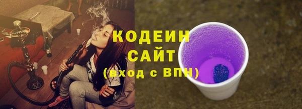 прущий лед Новозыбков