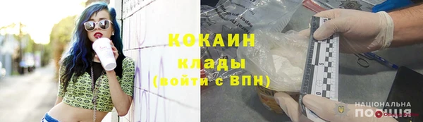 прущий лед Новозыбков