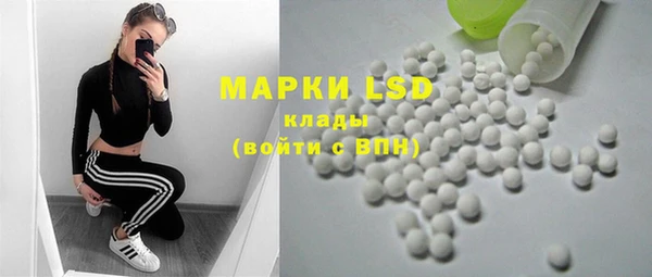 прущий лед Новозыбков