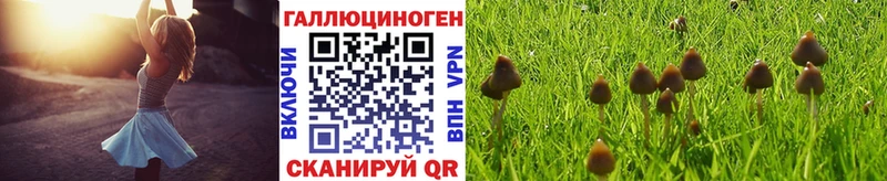 Галлюциногенные грибы мухоморы  omg маркетплейс  Великий Устюг 