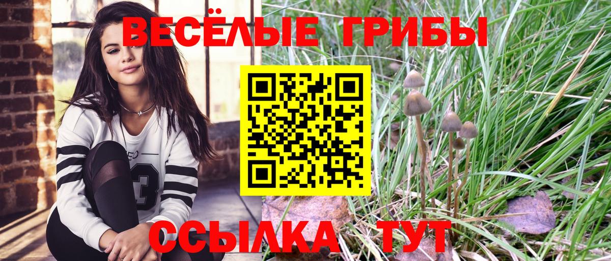 наркотики  Вход с VPN  Великий Устюг  Псилоцибиновые грибы Psilocybe 