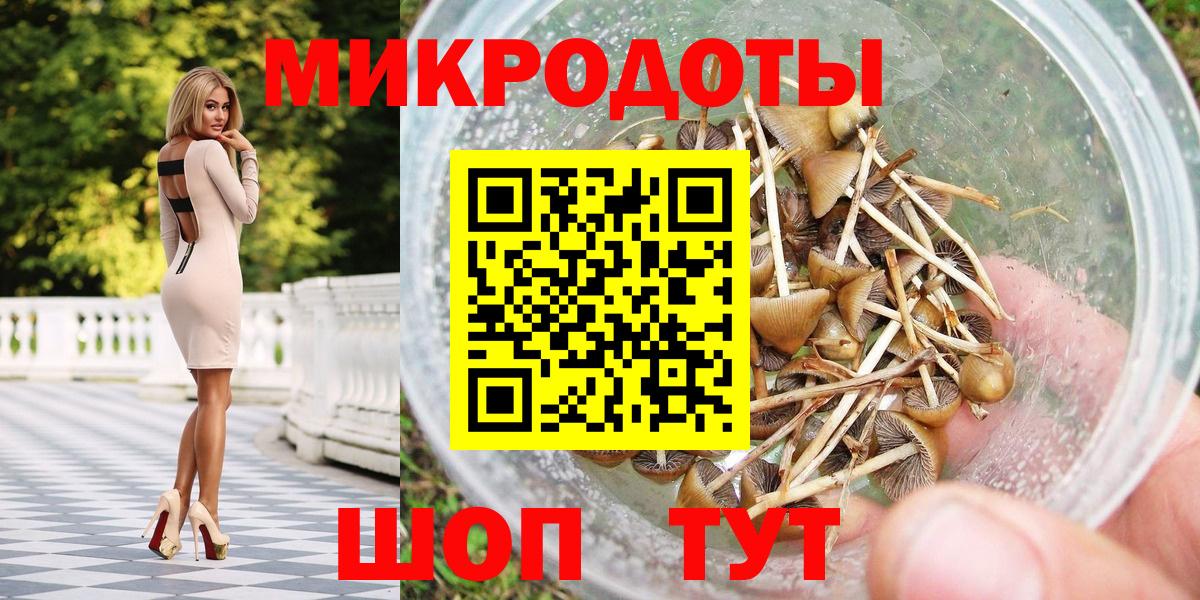 Галлюциногенные грибы Psilocybe Великий Устюг