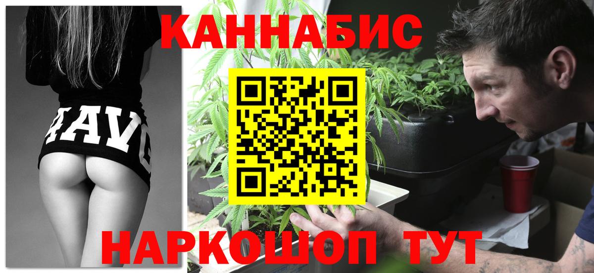 Бошки марихуана Bruce Banner Великий Устюг